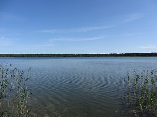 Glėbas