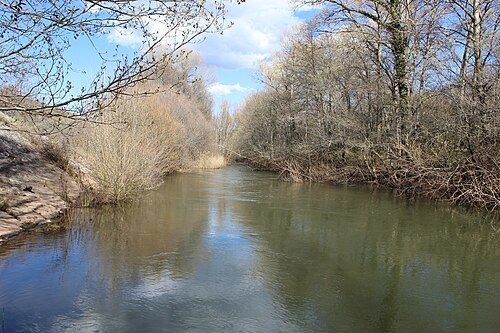 río Jarama