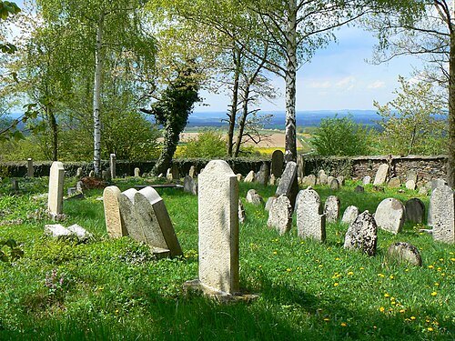 Jewish cemetery in Radenín