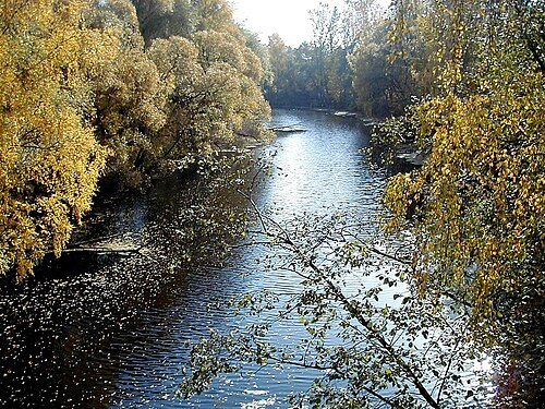 Iecava River