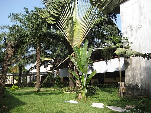 National Library of Guinea-Bissau