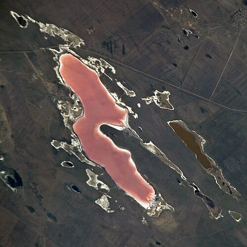 Koryakovka