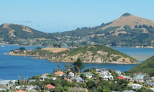 Quarantine Island / Kamau Taurua