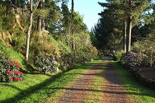 Waitakaruru Arboretum
