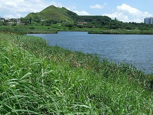 Kai Shan