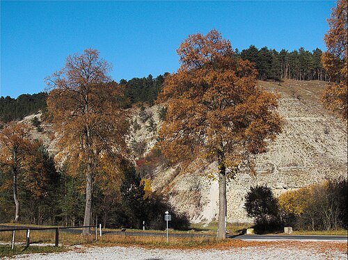 Jonas Valley