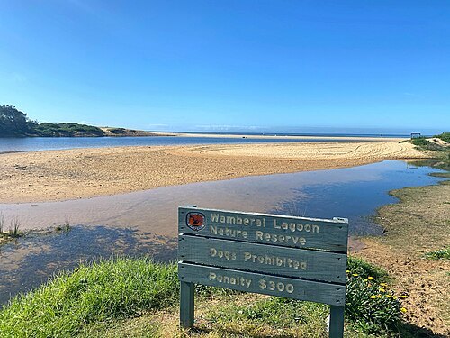 Wamberal Lagoon