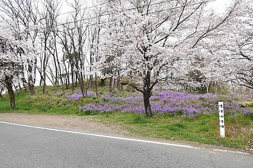 Soja Atagoyama Kofun