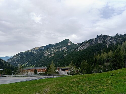 Stachlerkopf