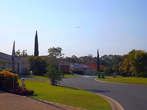 Reedy Creek Observatory