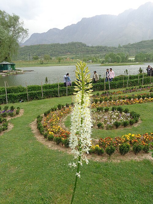Jawaharlal Nehru Memorial Botanical Garden