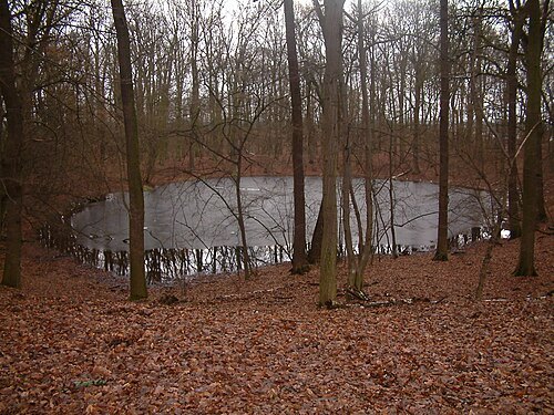 Morasko Meteorite Nature Reserve