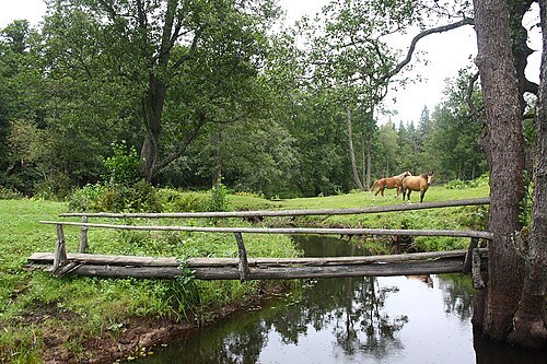Mustjõgi