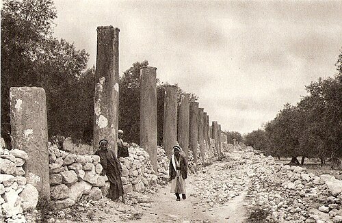 Samaria (שומרון)