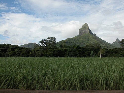 Piton de la Petite Rivière Noire