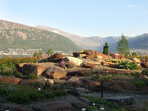 Arctic-alpine Botanic Garden