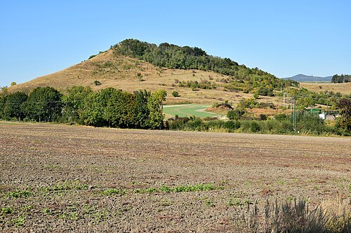 Syslík