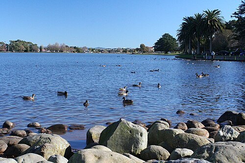 Lake Rotoroa / Hamilton Lake