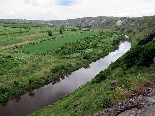 Răut