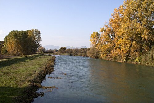 Trebižat