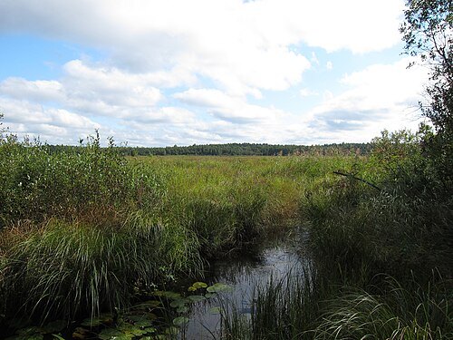 Rapakivenjärvi