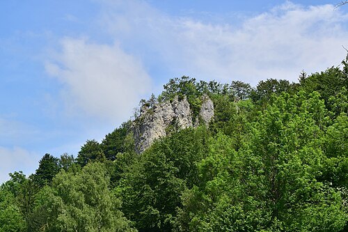 Sauzahn
