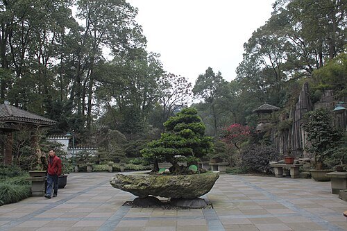 南山植物园