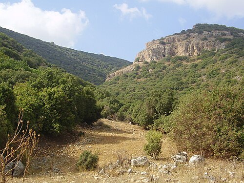 Mount Carmel