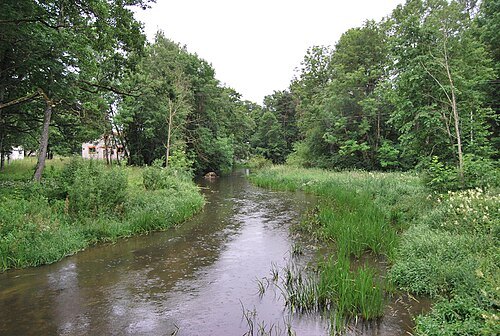 Selja River