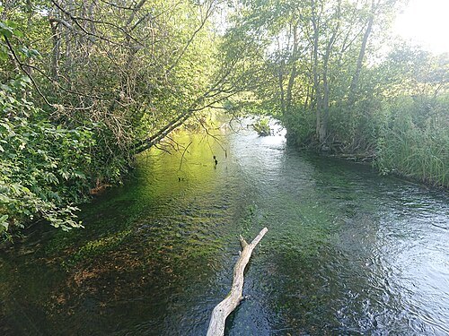 Vodja River
