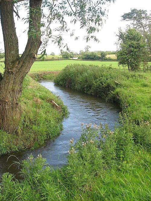 Delvin River