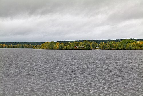 Kotisaari