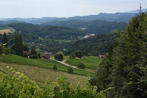Svečina