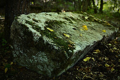 Crkvina necropolis