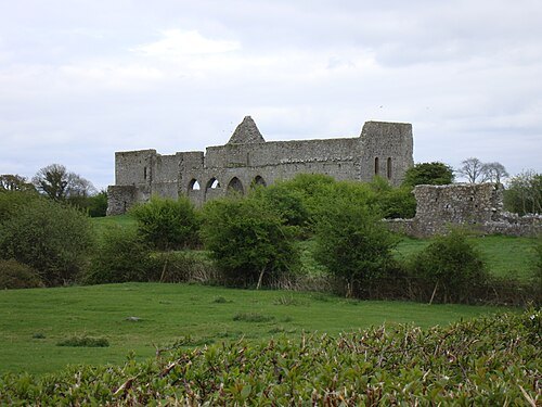 Monasteranenagh Abbey