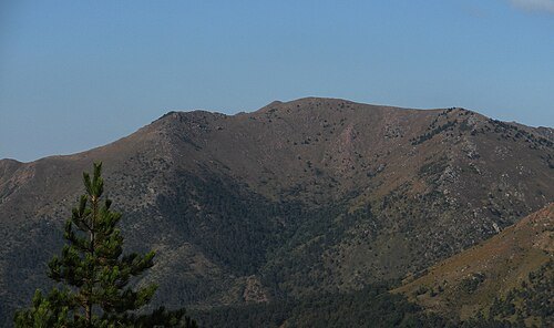 菲涅山