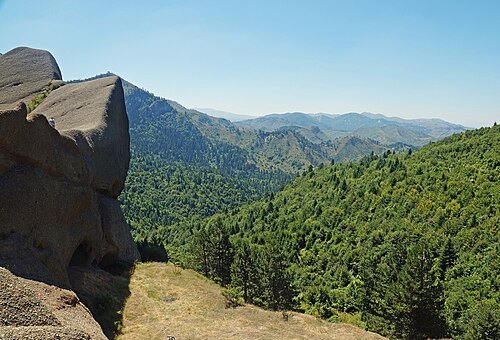 Fir of Drenovë National Park