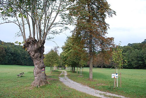 Naturpark Mannersdorf-Wüste