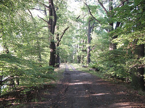 Nature reserve Łężczok