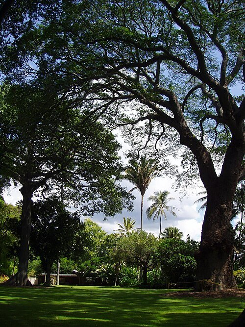 Foster Botanical Garden