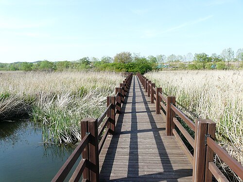 Ansan Reed Marsh Park