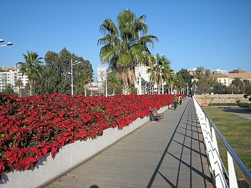 Pont de les Flors