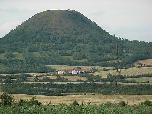 Oblík