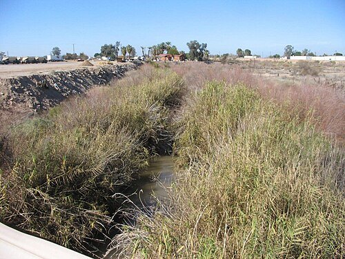 Alamo River