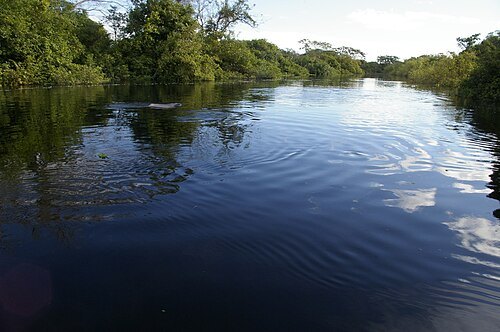 Yacuma River