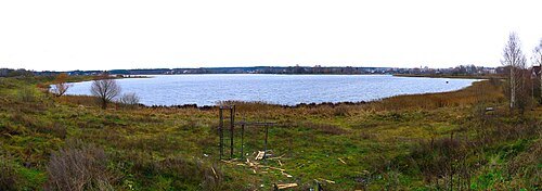Šuņezers