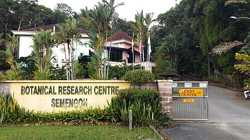 Semenggoh Wildlife Rehabilitation Center