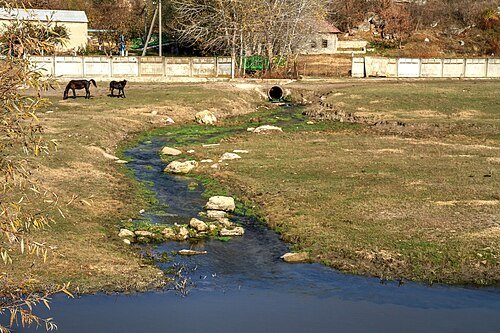 Jeloboc spring