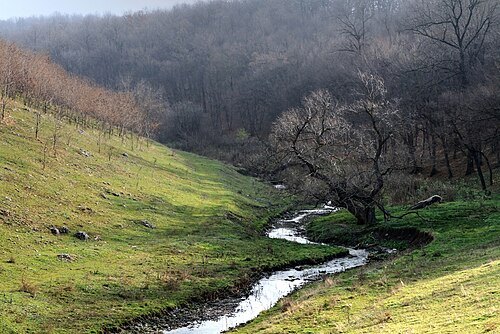 Climăuții de Jos landscape reserve