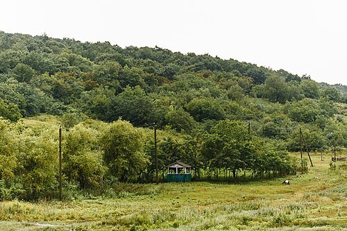 Izvoare–Risipeni